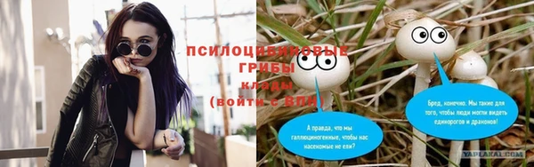 PSILOCYBIN Алексеевка