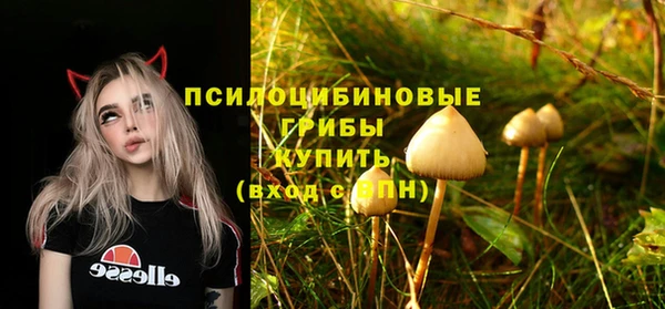 PSILOCYBIN Алексеевка