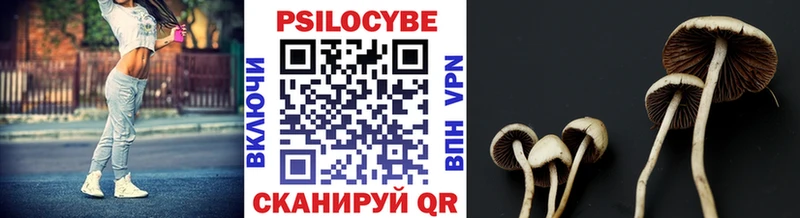 Псилоцибиновые грибы прущие грибы  Тейково 